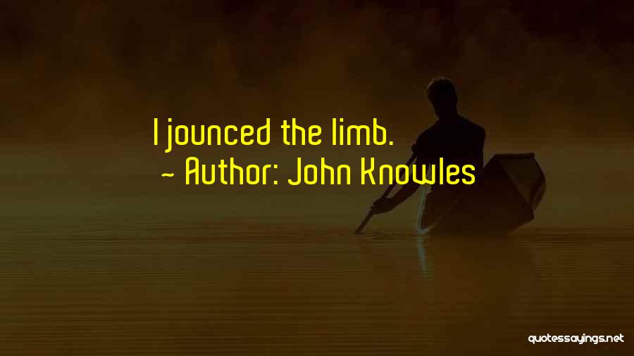 John Knowles Quotes: I Jounced The Limb.