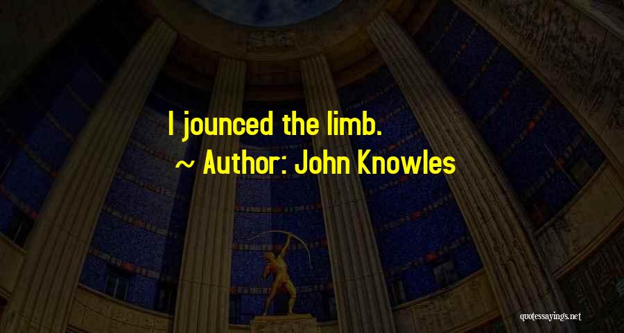 John Knowles Quotes: I Jounced The Limb.
