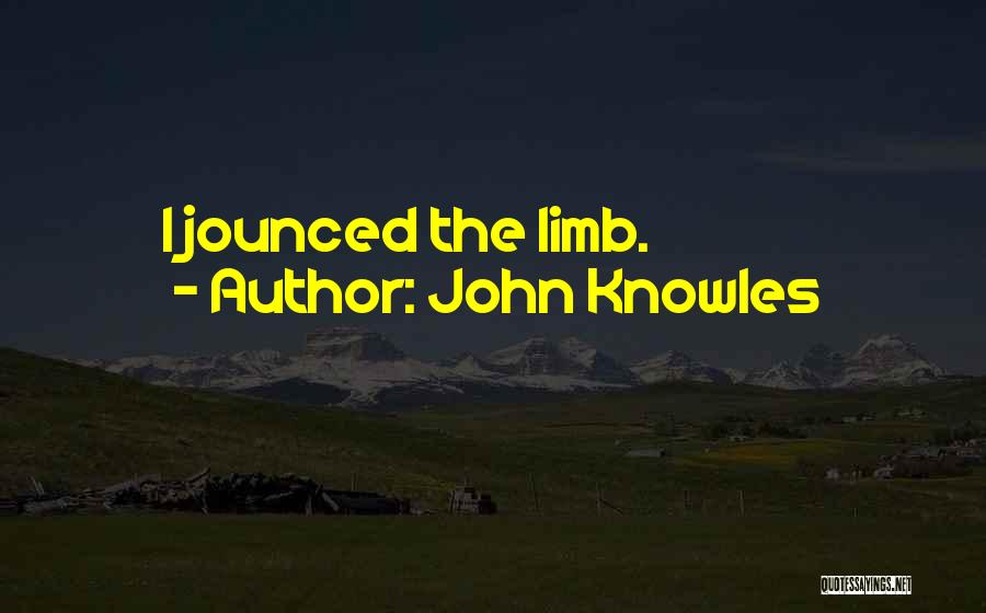 John Knowles Quotes: I Jounced The Limb.