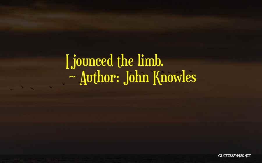 John Knowles Quotes: I Jounced The Limb.