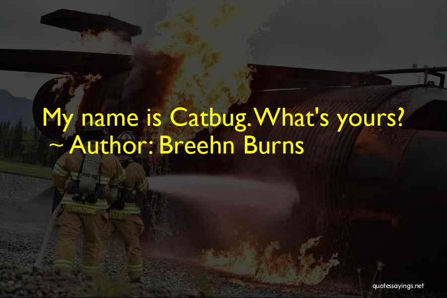 Breehn Burns Quotes: My Name Is Catbug. What's Yours?