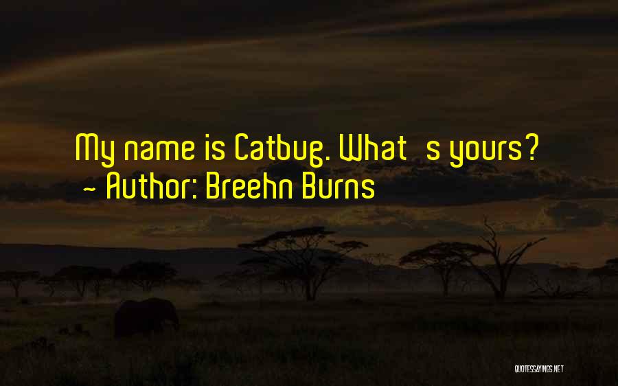 Breehn Burns Quotes: My Name Is Catbug. What's Yours?