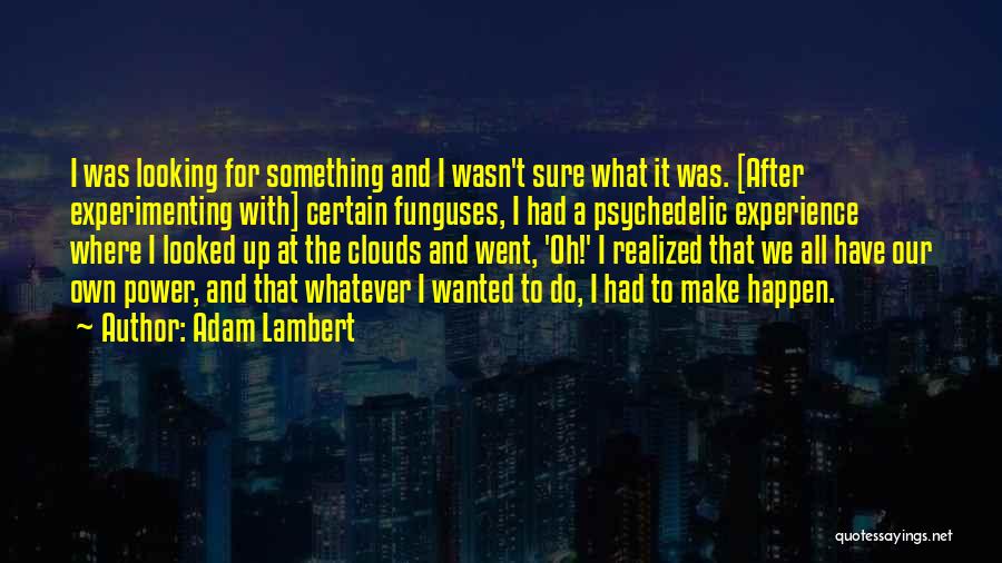 Adam Lambert Quotes: I Was Looking For Something And I Wasn't Sure What It Was. [after Experimenting With] Certain Funguses, I Had A