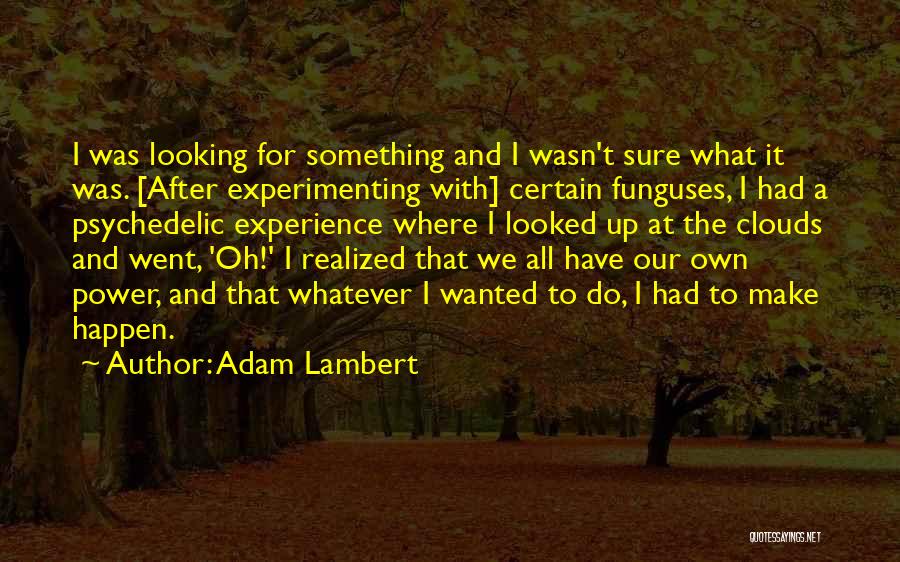 Adam Lambert Quotes: I Was Looking For Something And I Wasn't Sure What It Was. [after Experimenting With] Certain Funguses, I Had A