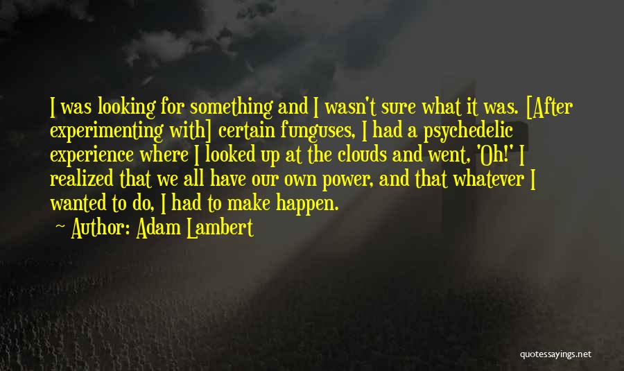 Adam Lambert Quotes: I Was Looking For Something And I Wasn't Sure What It Was. [after Experimenting With] Certain Funguses, I Had A