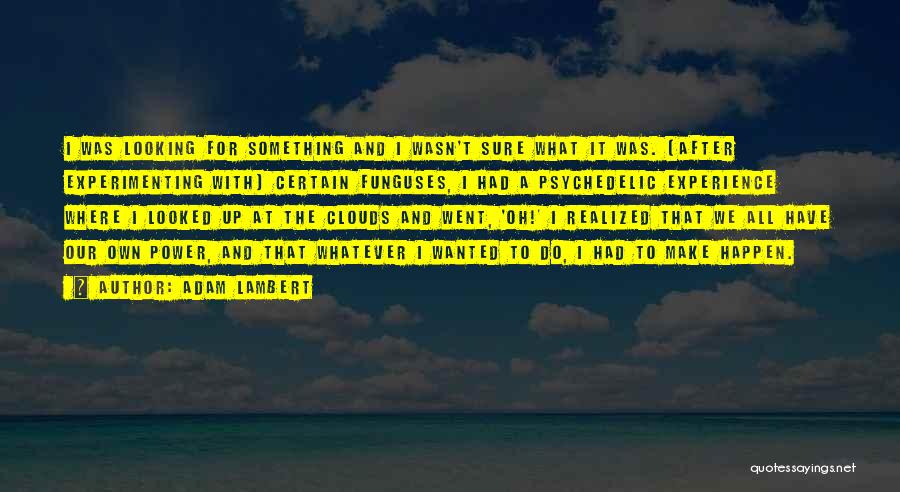 Adam Lambert Quotes: I Was Looking For Something And I Wasn't Sure What It Was. [after Experimenting With] Certain Funguses, I Had A