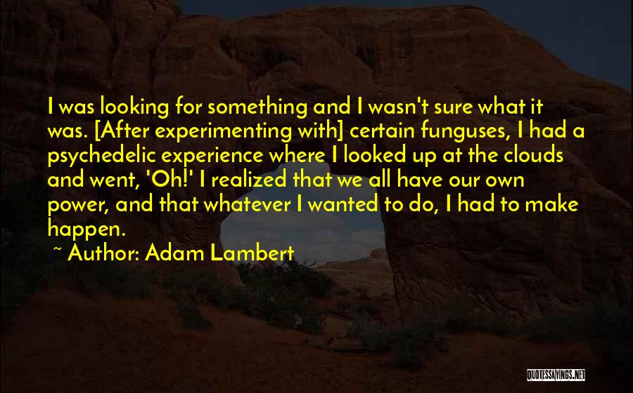 Adam Lambert Quotes: I Was Looking For Something And I Wasn't Sure What It Was. [after Experimenting With] Certain Funguses, I Had A