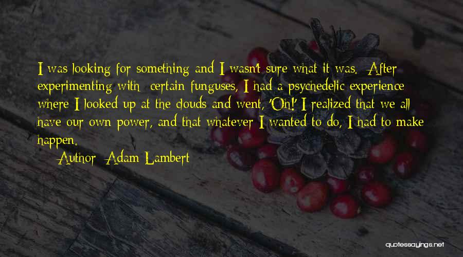 Adam Lambert Quotes: I Was Looking For Something And I Wasn't Sure What It Was. [after Experimenting With] Certain Funguses, I Had A