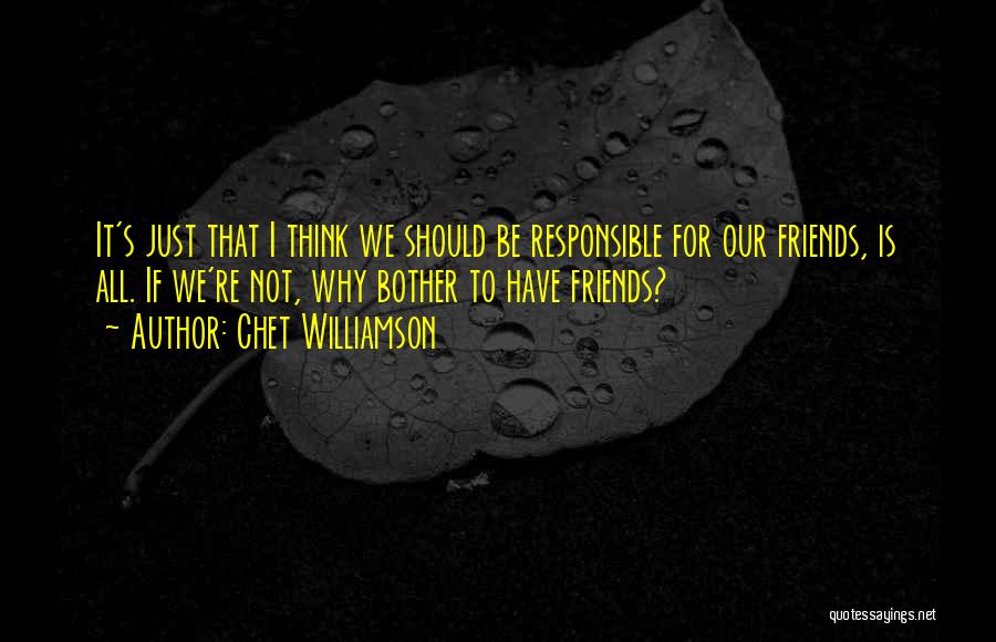 Chet Williamson Quotes: It's Just That I Think We Should Be Responsible For Our Friends, Is All. If We're Not, Why Bother To