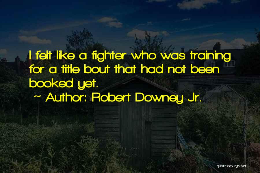 Robert Downey Jr. Quotes: I Felt Like A Fighter Who Was Training For A Title Bout That Had Not Been Booked Yet.