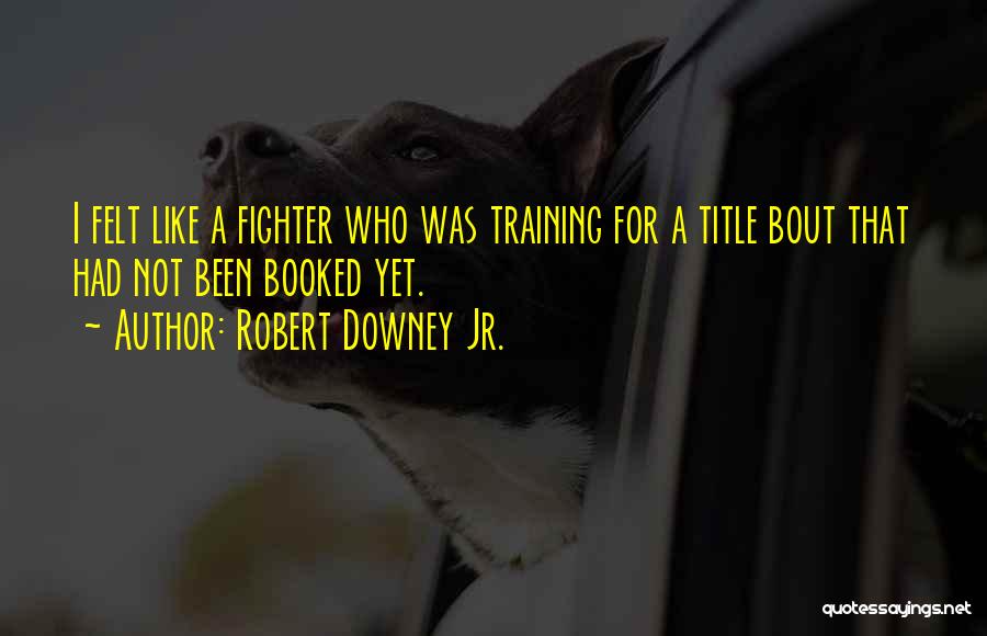 Robert Downey Jr. Quotes: I Felt Like A Fighter Who Was Training For A Title Bout That Had Not Been Booked Yet.