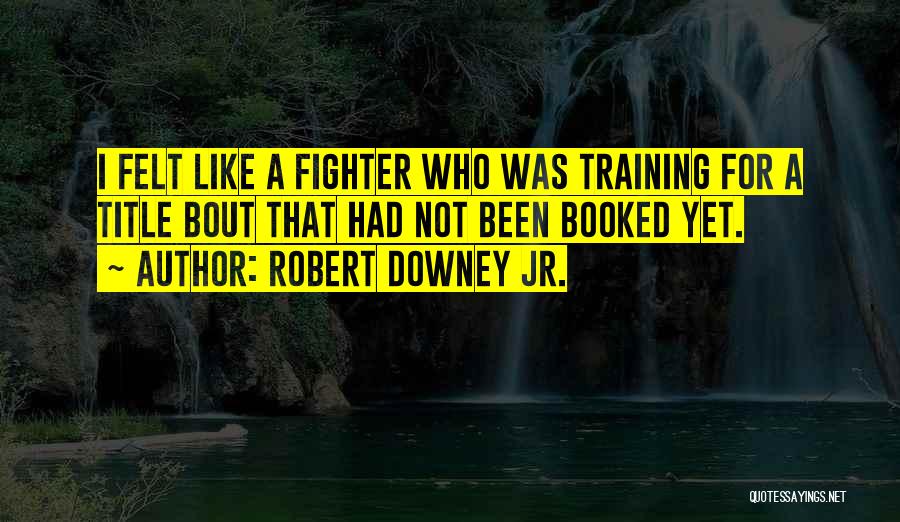 Robert Downey Jr. Quotes: I Felt Like A Fighter Who Was Training For A Title Bout That Had Not Been Booked Yet.