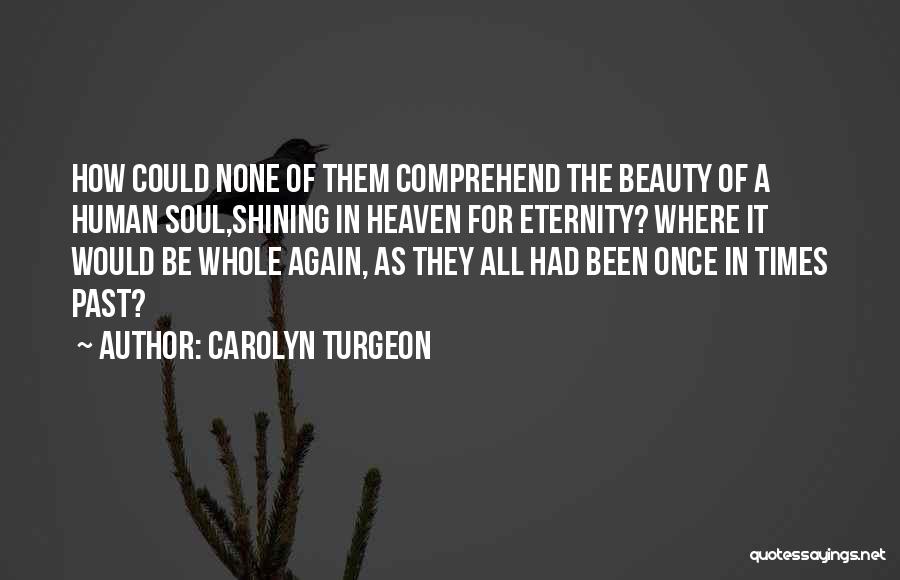 Carolyn Turgeon Quotes: How Could None Of Them Comprehend The Beauty Of A Human Soul,shining In Heaven For Eternity? Where It Would Be