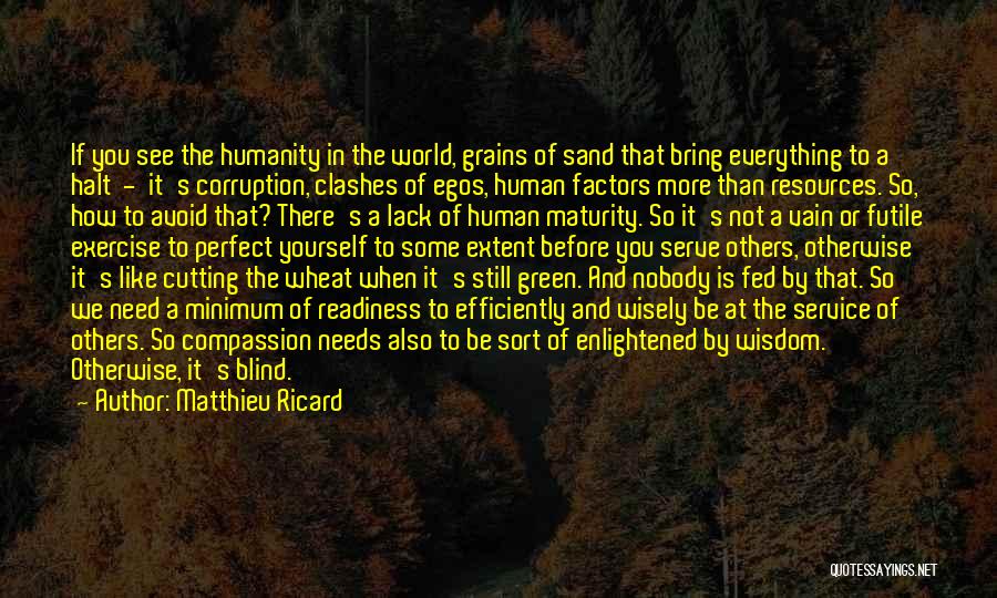 Matthieu Ricard Quotes: If You See The Humanity In The World, Grains Of Sand That Bring Everything To A Halt - It's Corruption,