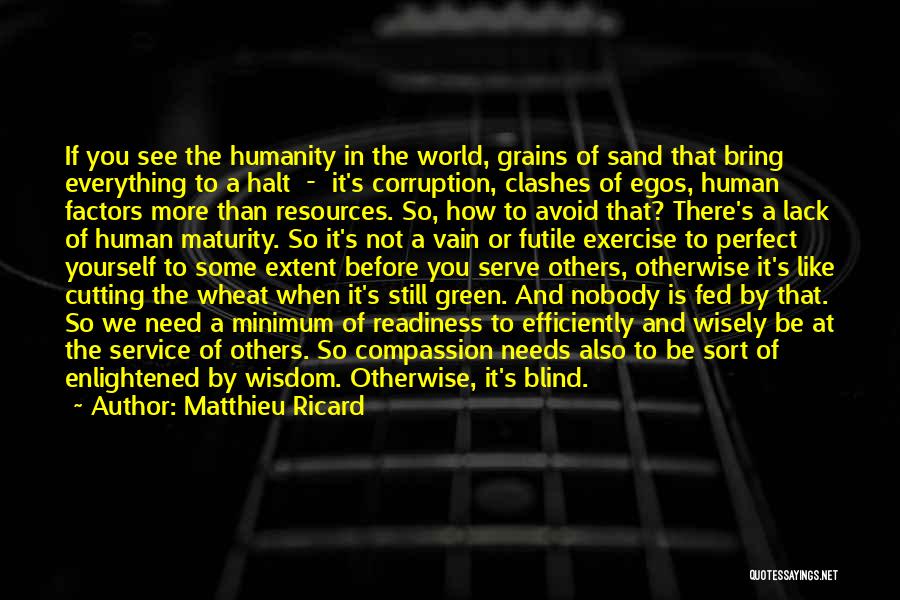 Matthieu Ricard Quotes: If You See The Humanity In The World, Grains Of Sand That Bring Everything To A Halt - It's Corruption,