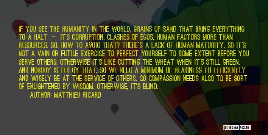 Matthieu Ricard Quotes: If You See The Humanity In The World, Grains Of Sand That Bring Everything To A Halt - It's Corruption,