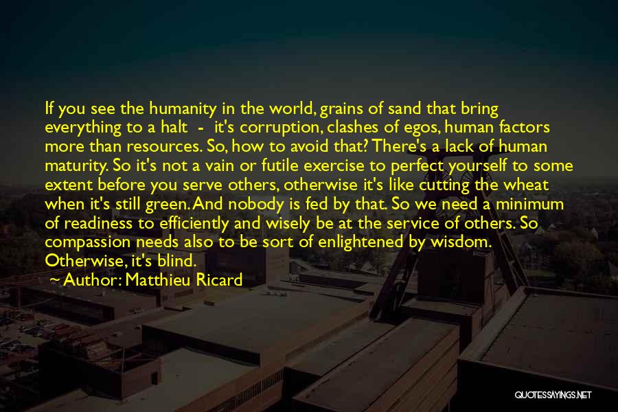 Matthieu Ricard Quotes: If You See The Humanity In The World, Grains Of Sand That Bring Everything To A Halt - It's Corruption,