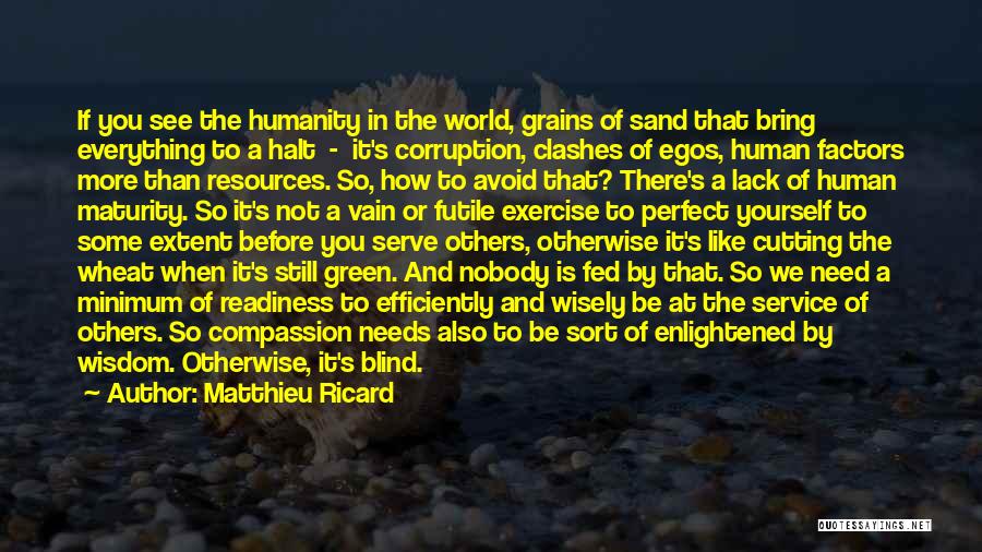 Matthieu Ricard Quotes: If You See The Humanity In The World, Grains Of Sand That Bring Everything To A Halt - It's Corruption,