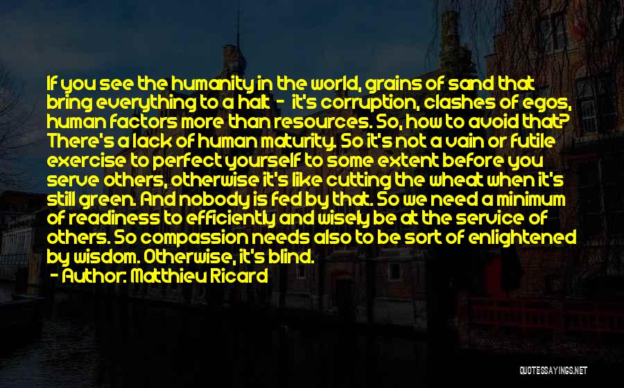 Matthieu Ricard Quotes: If You See The Humanity In The World, Grains Of Sand That Bring Everything To A Halt - It's Corruption,