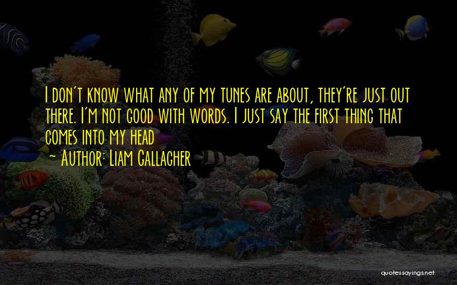 Liam Gallagher Quotes: I Don't Know What Any Of My Tunes Are About, They're Just Out There. I'm Not Good With Words. I