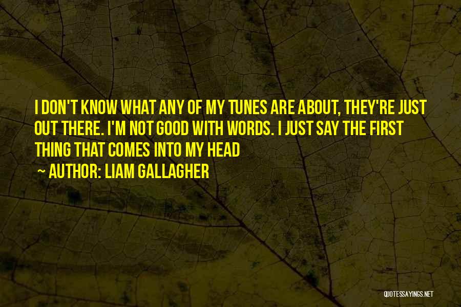 Liam Gallagher Quotes: I Don't Know What Any Of My Tunes Are About, They're Just Out There. I'm Not Good With Words. I