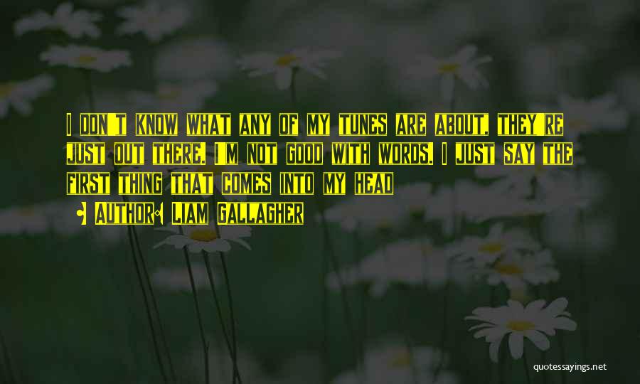 Liam Gallagher Quotes: I Don't Know What Any Of My Tunes Are About, They're Just Out There. I'm Not Good With Words. I