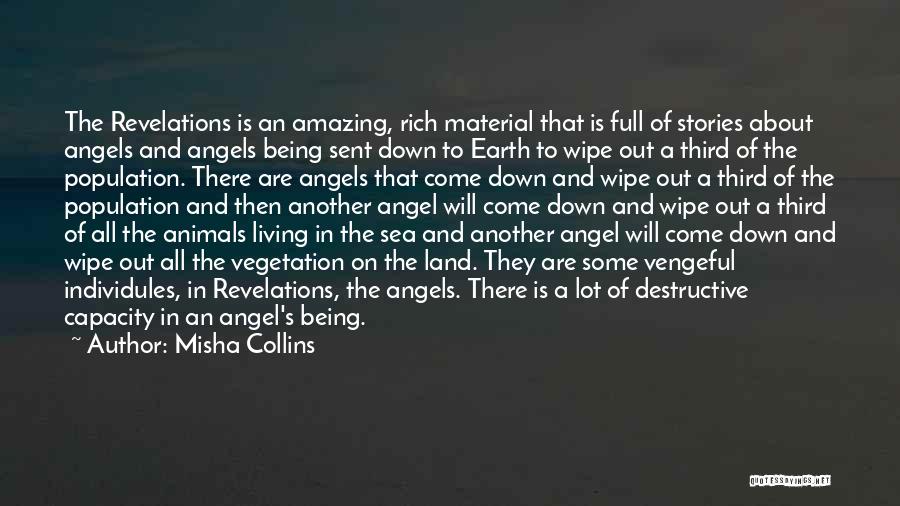 Misha Collins Quotes: The Revelations Is An Amazing, Rich Material That Is Full Of Stories About Angels And Angels Being Sent Down To