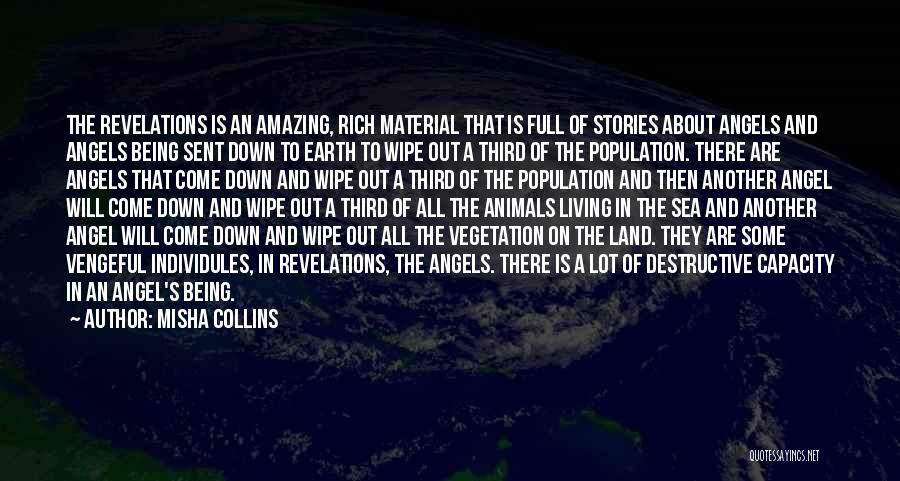 Misha Collins Quotes: The Revelations Is An Amazing, Rich Material That Is Full Of Stories About Angels And Angels Being Sent Down To