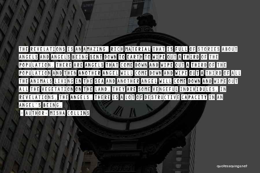 Misha Collins Quotes: The Revelations Is An Amazing, Rich Material That Is Full Of Stories About Angels And Angels Being Sent Down To