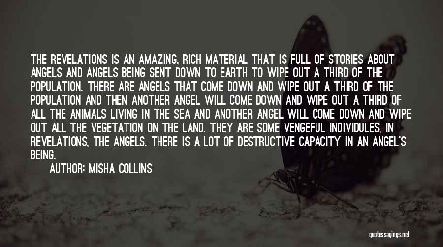 Misha Collins Quotes: The Revelations Is An Amazing, Rich Material That Is Full Of Stories About Angels And Angels Being Sent Down To