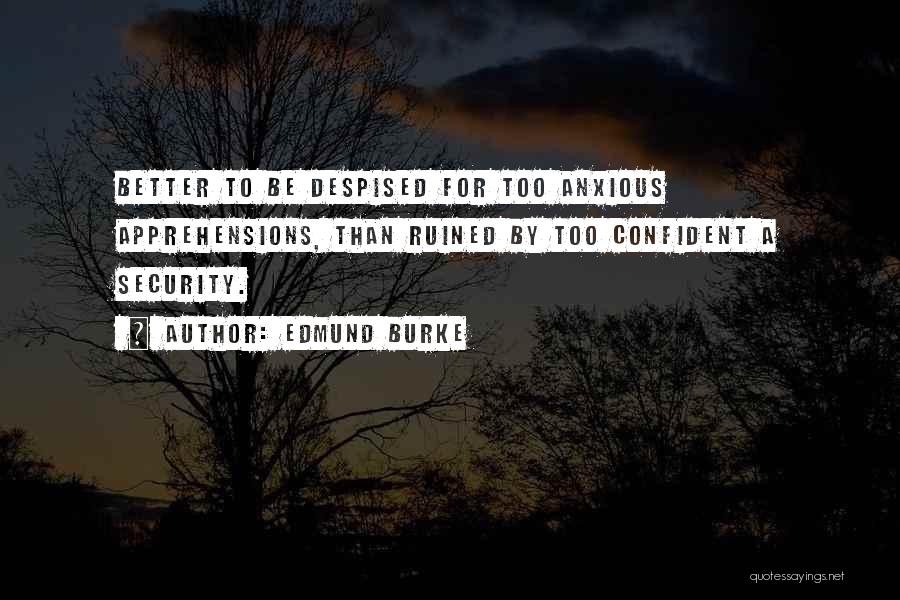 Edmund Burke Quotes: Better To Be Despised For Too Anxious Apprehensions, Than Ruined By Too Confident A Security.