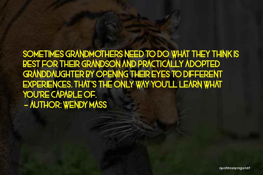 Wendy Mass Quotes: Sometimes Grandmothers Need To Do What They Think Is Best For Their Grandson And Practically Adopted Granddaughter By Opening Their