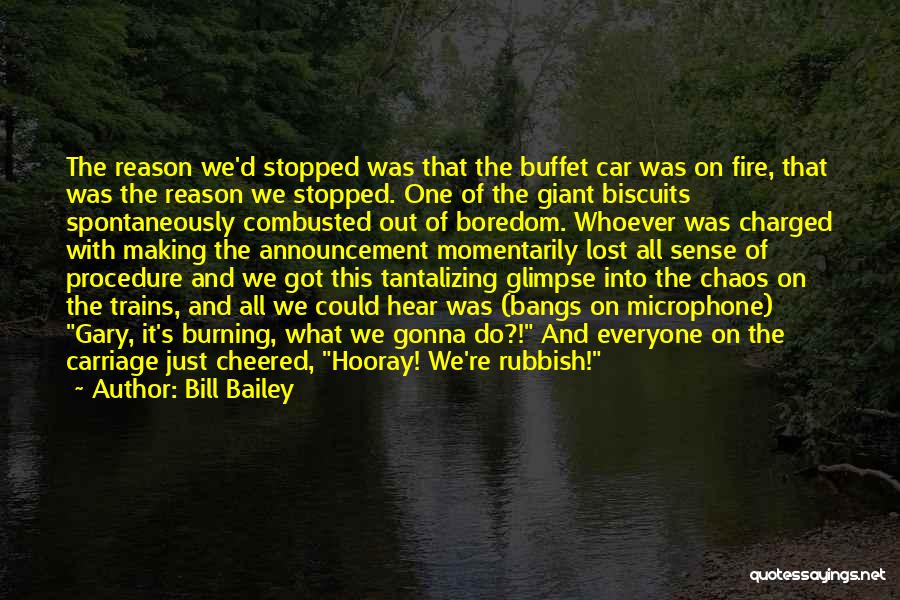 Bill Bailey Quotes: The Reason We'd Stopped Was That The Buffet Car Was On Fire, That Was The Reason We Stopped. One Of