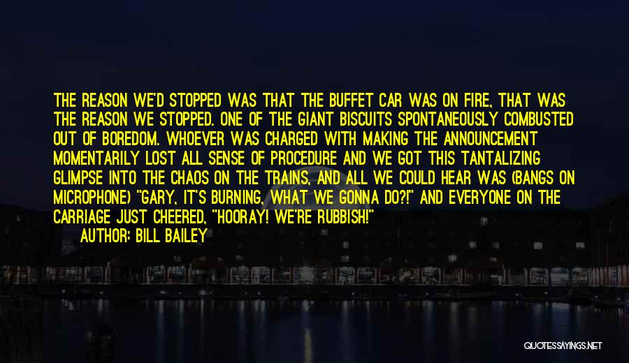 Bill Bailey Quotes: The Reason We'd Stopped Was That The Buffet Car Was On Fire, That Was The Reason We Stopped. One Of