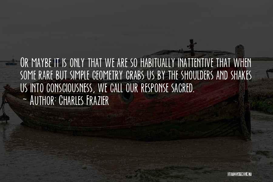 Charles Frazier Quotes: Or Maybe It Is Only That We Are So Habitually Inattentive That When Some Rare But Simple Geometry Grabs Us