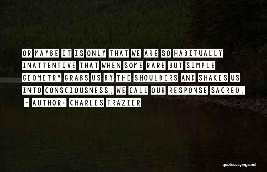 Charles Frazier Quotes: Or Maybe It Is Only That We Are So Habitually Inattentive That When Some Rare But Simple Geometry Grabs Us