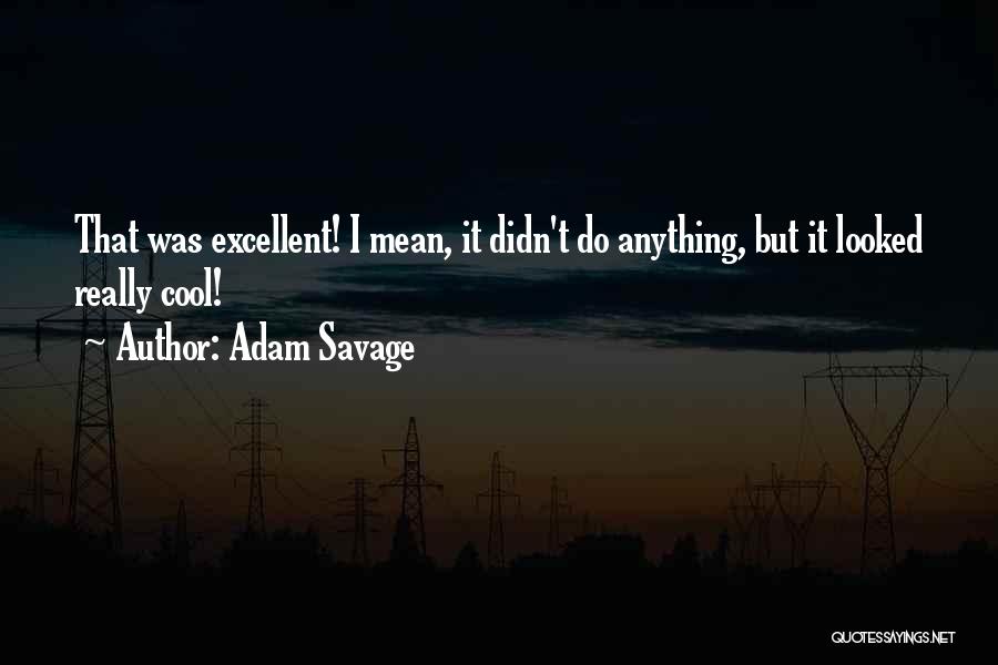 Adam Savage Quotes: That Was Excellent! I Mean, It Didn't Do Anything, But It Looked Really Cool!