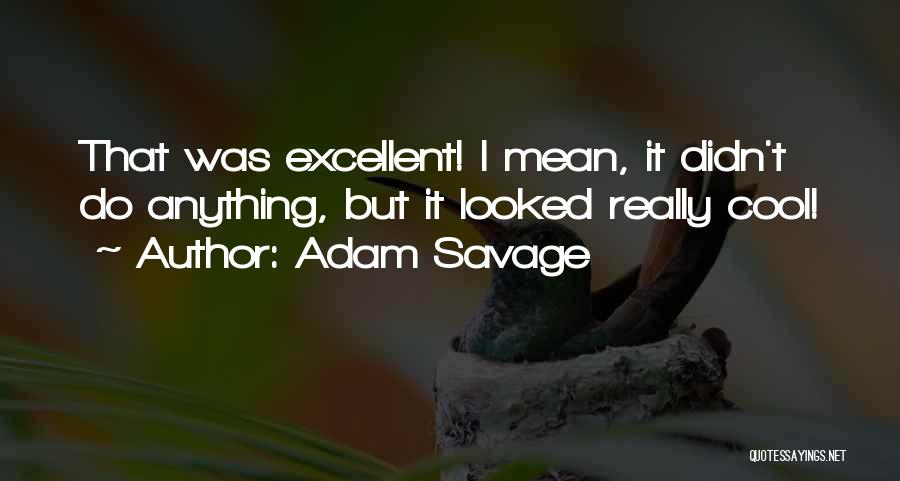 Adam Savage Quotes: That Was Excellent! I Mean, It Didn't Do Anything, But It Looked Really Cool!