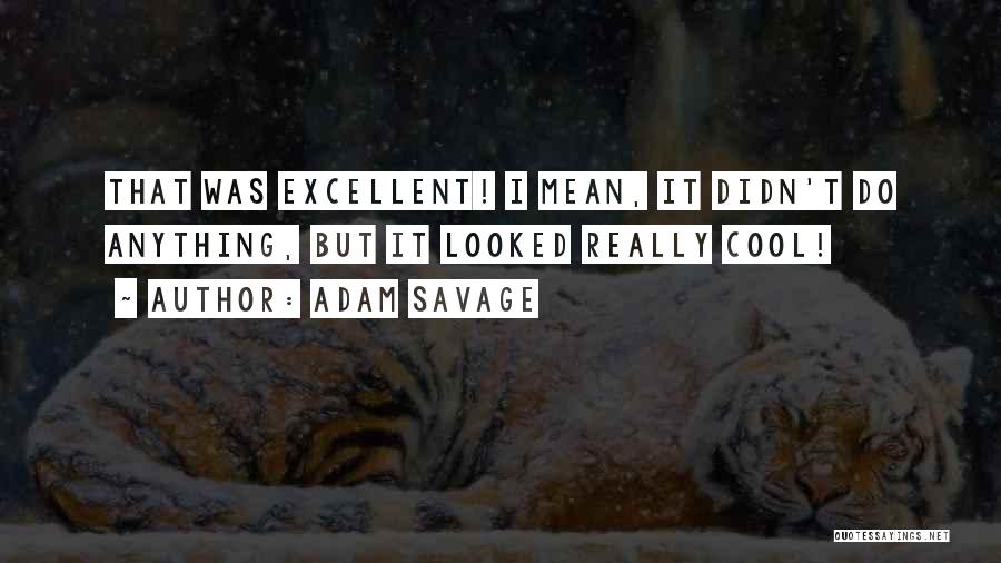 Adam Savage Quotes: That Was Excellent! I Mean, It Didn't Do Anything, But It Looked Really Cool!