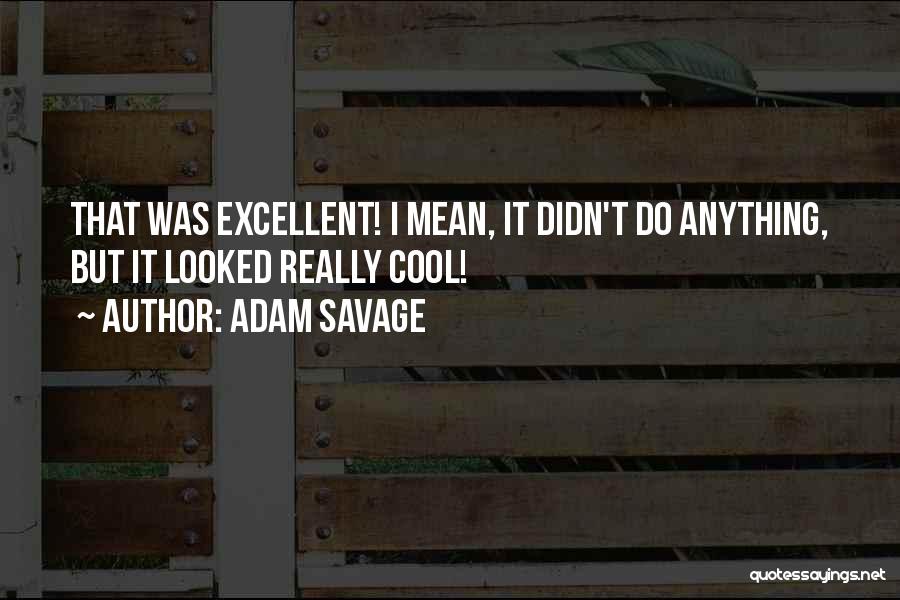 Adam Savage Quotes: That Was Excellent! I Mean, It Didn't Do Anything, But It Looked Really Cool!