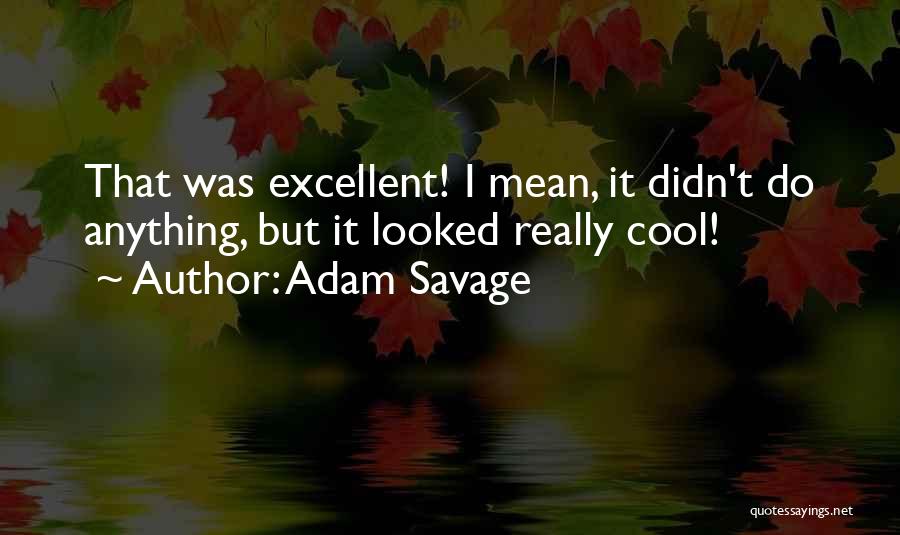 Adam Savage Quotes: That Was Excellent! I Mean, It Didn't Do Anything, But It Looked Really Cool!