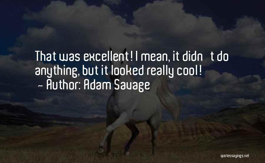 Adam Savage Quotes: That Was Excellent! I Mean, It Didn't Do Anything, But It Looked Really Cool!