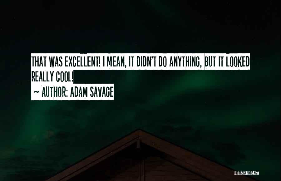 Adam Savage Quotes: That Was Excellent! I Mean, It Didn't Do Anything, But It Looked Really Cool!