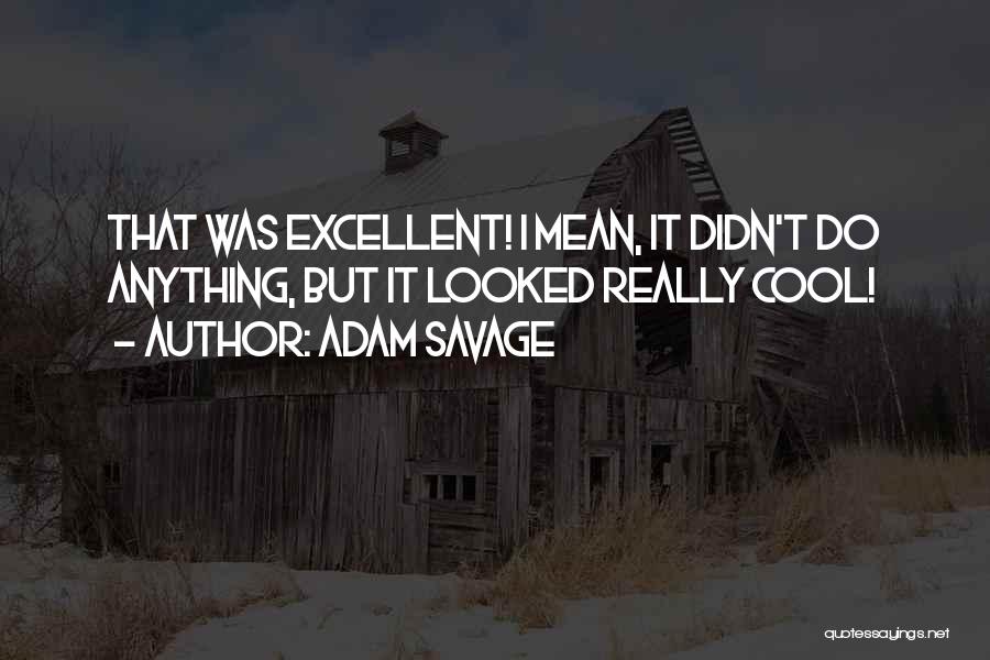Adam Savage Quotes: That Was Excellent! I Mean, It Didn't Do Anything, But It Looked Really Cool!