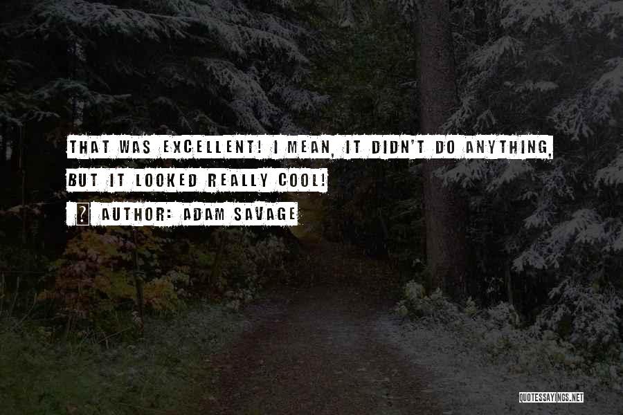 Adam Savage Quotes: That Was Excellent! I Mean, It Didn't Do Anything, But It Looked Really Cool!