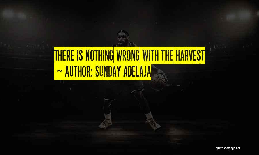 Sunday Adelaja Quotes: There Is Nothing Wrong With The Harvest