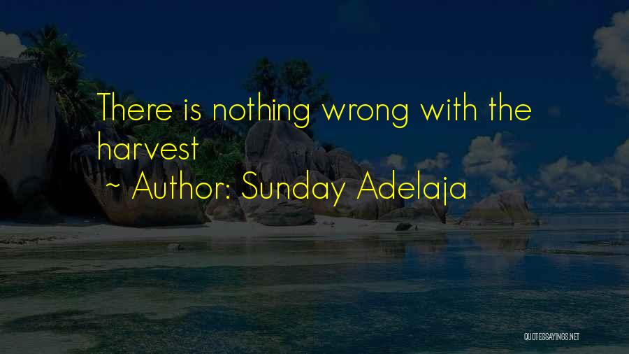 Sunday Adelaja Quotes: There Is Nothing Wrong With The Harvest