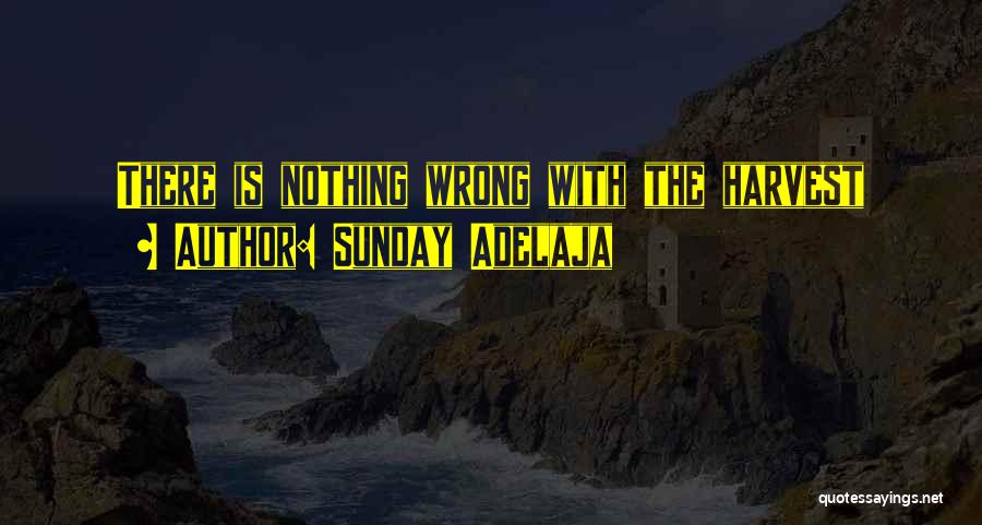 Sunday Adelaja Quotes: There Is Nothing Wrong With The Harvest
