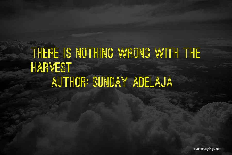 Sunday Adelaja Quotes: There Is Nothing Wrong With The Harvest
