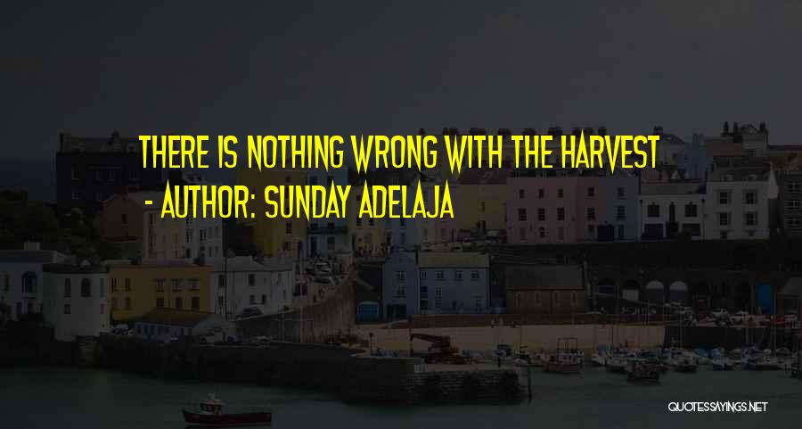 Sunday Adelaja Quotes: There Is Nothing Wrong With The Harvest